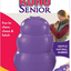 SENIOR KONG