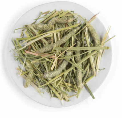 PUUR MEADOW HAY 500gr