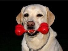 KONG GOODIE BONE