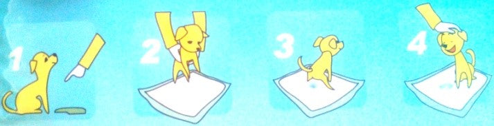 DOG TRAINING PADS