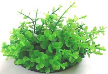 PLASTIC PLANT GREEN SMALL ROUND LEAFS 9cm