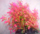 PLASTIC PLANT PINK &  GREEN ROUND LEAF