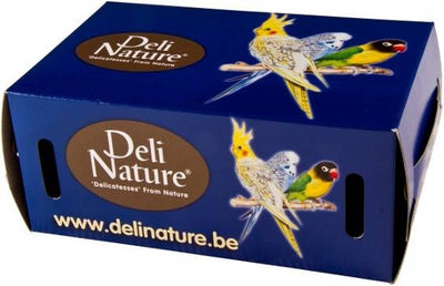 BIRD TRANSPORTATION BOX LARGE