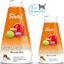 CAT EASY DESHEDDING (CAT)