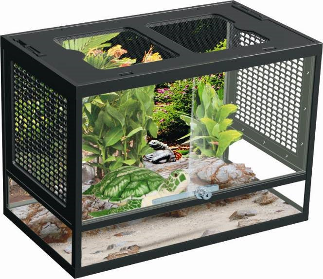 TERRARIUM PT