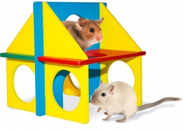 DIY FUN HOUSE ΜΙΚΤΑ ΧΡΩΜΑΤΑ
