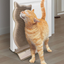 KONG CONNECTS KITTY COMBER