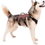 ERGOTREKKING DOG HARNESS
