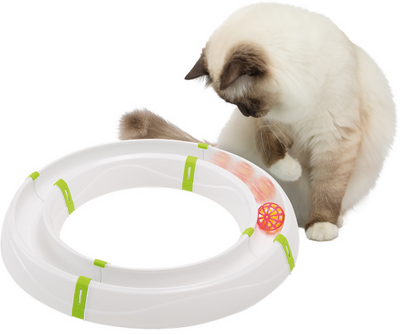 CAT TOY MAGIC CIRCLE CIRCUIT