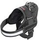 TITAN DOG HARNESS BLACK