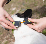 CLUB REFLEX COLLAR BLACK