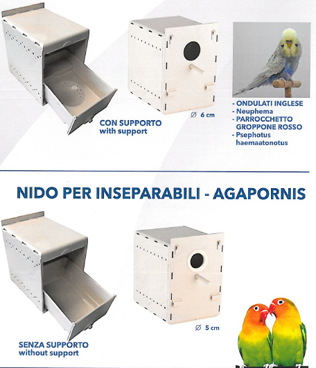 NIDO PARADISE