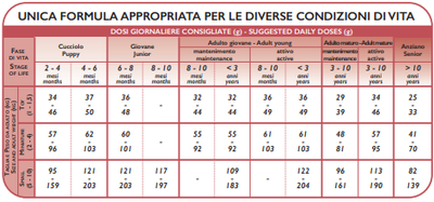 UNICA MΑΧΙ SALMON