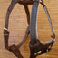 LEATHER DOG HARNESS