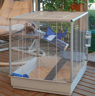 FURET XL