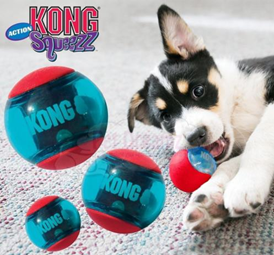 KONG ACTION SQUEZZ 