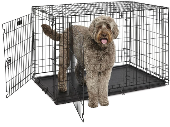 DOG-INN