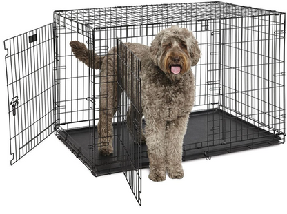 DOG-INN
