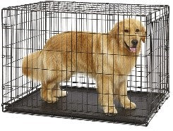 DOG-INN