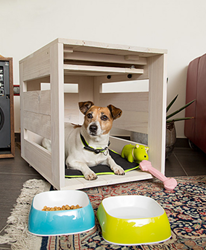 ΣΠΙΤΙ ΣΚΥΛΙΟΥ