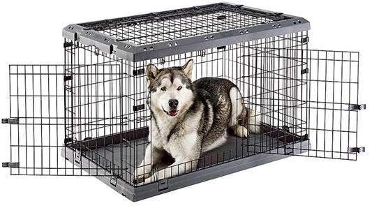 Cyrus clearance dog crate