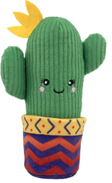 WRANGLER CACTUS