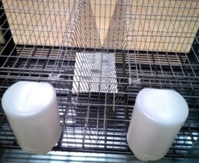 RABBIT CAGE 2 COMPARTMENT