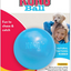 KONG PUPPY BALL