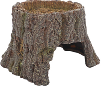 TRUNK CAVE 1