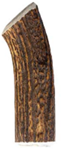 RED DEER ANTLER