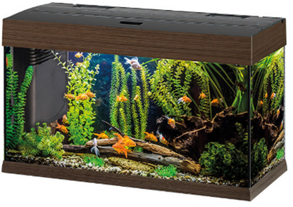 DUBAI 80 LED MAHOGANY AQUARIUM