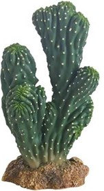 CACTUS VICTORIA 1 19εκ