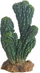 CACTUS VICTORIA 1 19εκ