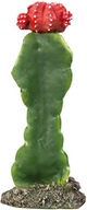 CACTUS GIBSON MEDIUM