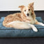 CUSHION SNOOZBAY RECTANGLE TURQUOISE + ZIPPER