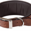 VIP CSW COLLAR