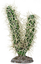 CACTUS SIMPSON