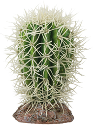 CACTUS GREAT BASIN