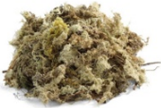 MOSS SPHAGNUM 150 γρ