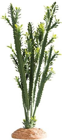 EUPHORBIA L