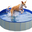 DOG POOL