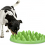 BOWL SLOW FEEDER NORTHMATE OVAL GREEN