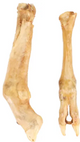 NATURE SNACK LAMB’S FOOT 2PCS