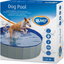 DOG POOL