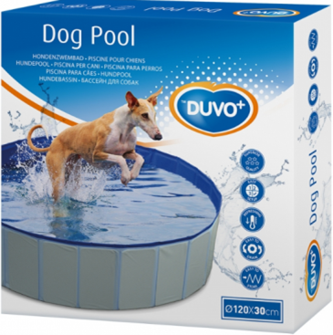 DOG POOL