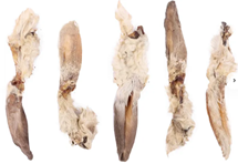 NATURE SNACK RABBIT EARS WITH HAIR 200G
