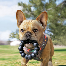 KONG EXTREME RING
