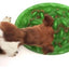 BOWL SLOW FEEDER NORTHMATE OVAL GREEN